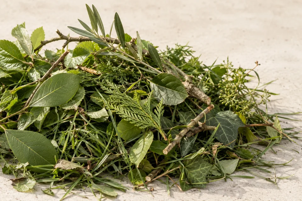 Beispielbild: abgeschnittene Zweige, grüne Blätter und Gras als Gartenabfälle